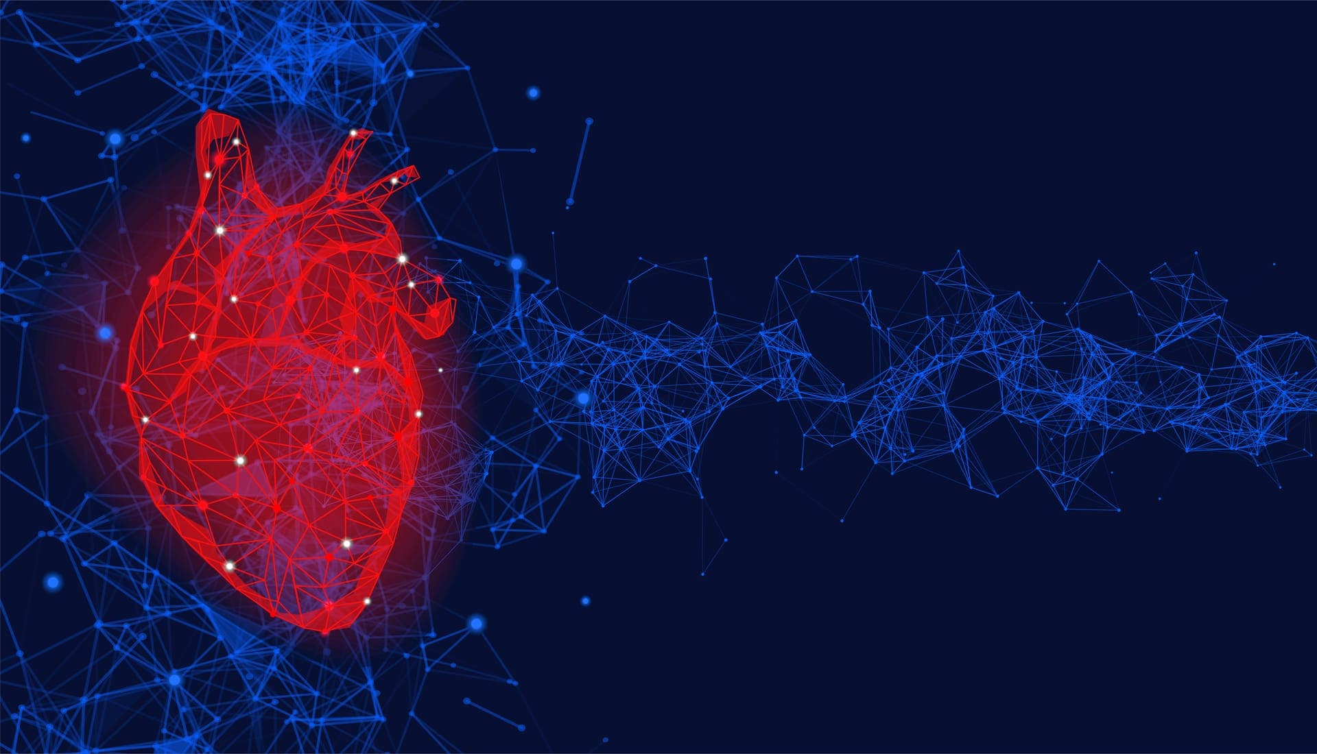 Myocardial Strain Imaging