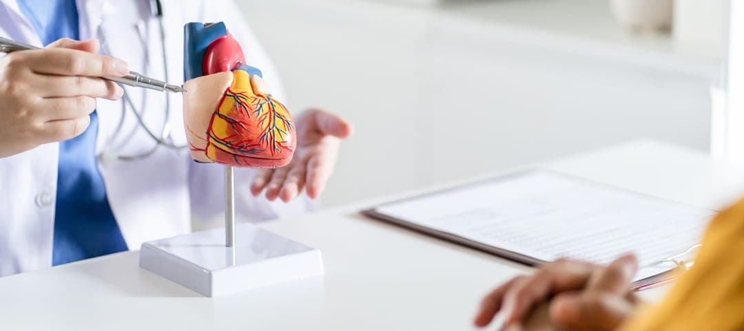 New Oral Anticoagulants (NOACs) and Cardiology