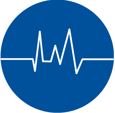 Εικονίδιο Holter Ρυθμού.