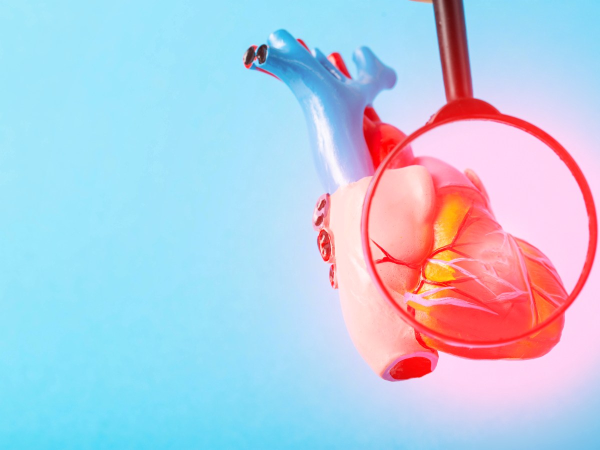 Στεφανιαία Νόσος: Ποια Προληπτικά Μέτρα Τεκμηριώνονται&nbsp;Επιστημονικά;